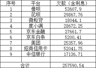 网贷还不起怎么和家里人坦白（网贷和信用卡欠40万怎么办）