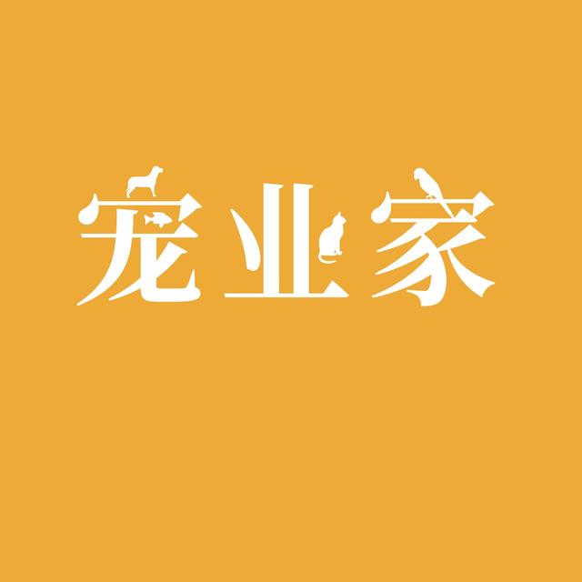 宠业家