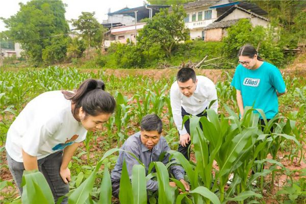 党建引领乡村振兴谱，潼南太安镇政府