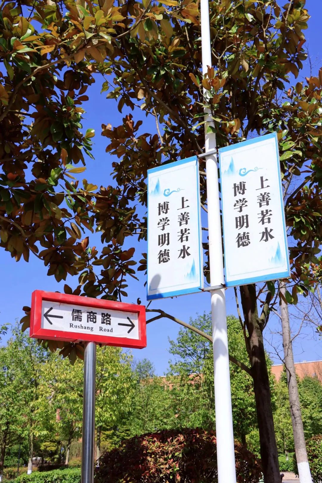 贵州黔南经济学院招生简章，贵州黔南经济学院2021招生章程