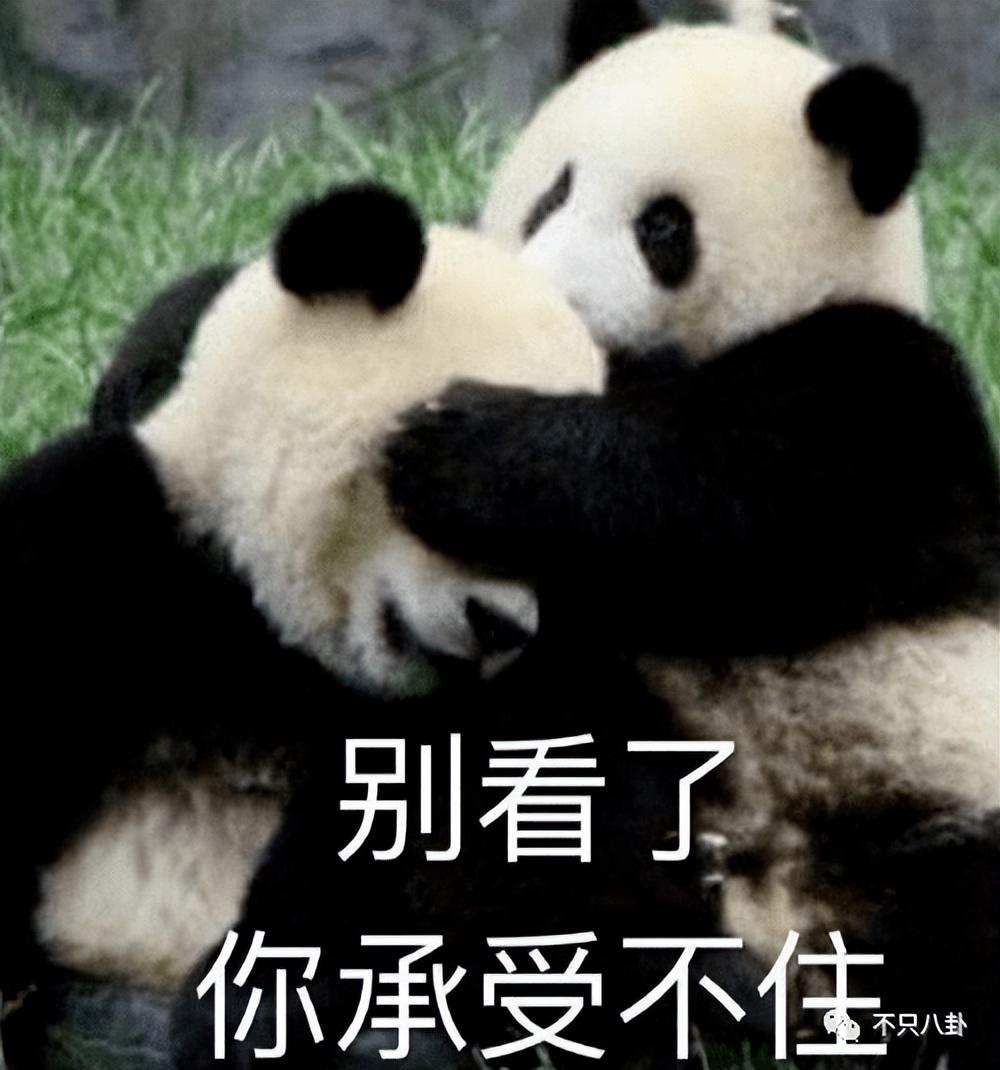 贾乃亮双十一带货，带货“翻车”还委屈心疼上自家了？贾乃亮可长点心吧……
