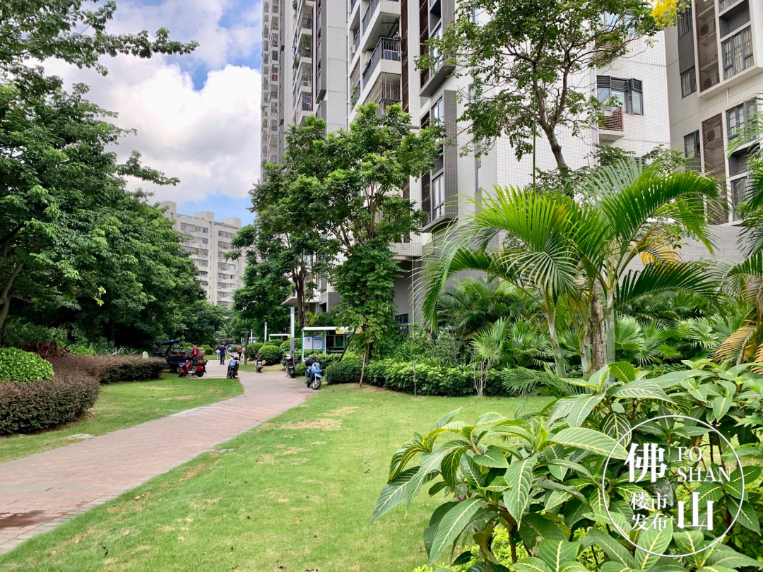 佛山富力新居，佛山市禅城区富力新居