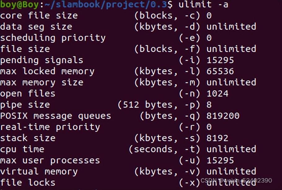 linux段错误核心已转储，段错误(已转储)linux怎么解决？