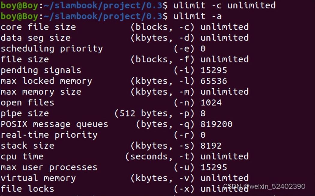 linux段错误核心已转储，段错误(已转储)linux怎么解决？