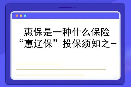 惠保是一种什么保险？“惠辽保”投保须知之一