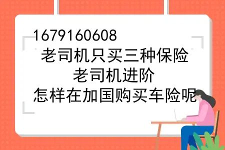 老司机只买三种保险，老司机进阶，怎样在加国购买车险呢？