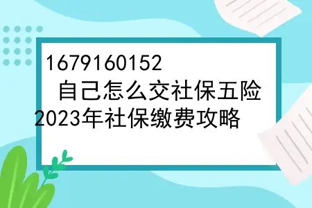 2021年自己怎么交社保？自己怎么交社保五险？2023年社保缴费攻略