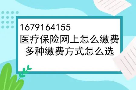 医疗保险网上怎么缴费？城乡居民医疗保险缴费怎么交，多种缴费方式怎么选？
