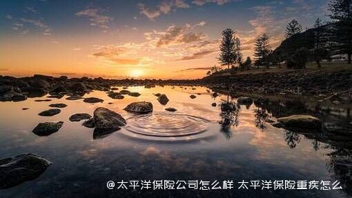 太平洋保险公司怎么样？太平洋保险重疾怎么样？