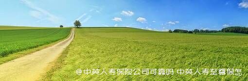 中英人寿保险公司可靠吗？中英人寿至尊保怎么样？