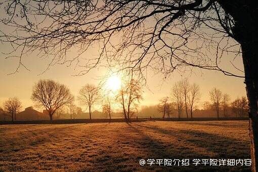 学平险介绍，学平险详细内容