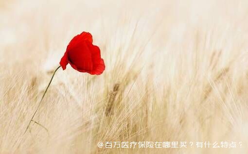 百万医疗保险在哪里买？有什么特点？