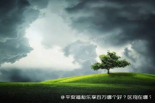 平安福和乐享百万哪个好？区别在哪？