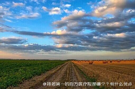 排名靠前的百万医疗险是哪个？有什么优点？