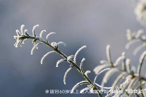 适合60岁以上老人的医疗险有哪些？需要多少钱？