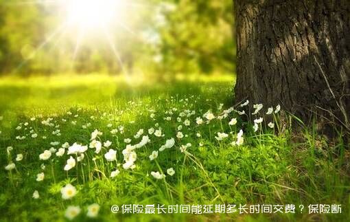 保险最长时间能延期多长时间交费？保险断交怎么办？