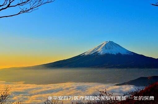 平安百万医疗保险续保版有哪些 一年的保费是多少 