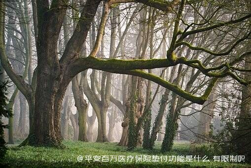 平安百万医疗保险垫付功能是什么 有限制吗 