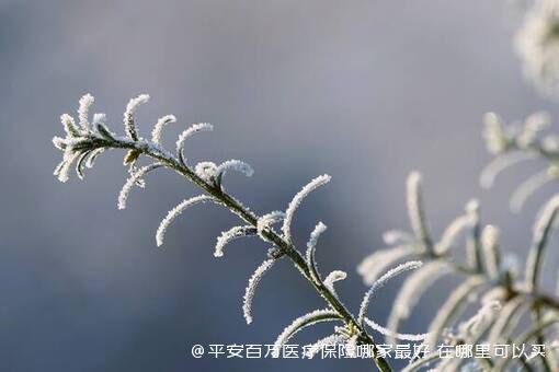 平安百万医疗保险哪家较好 在哪里可以买 