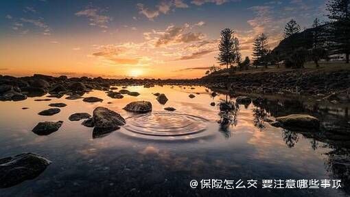 保险怎么交 要注意哪些事项 