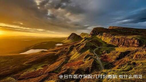 合作医疗保险几月份缴纳 有什么用处 