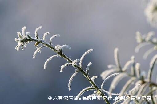 人寿保险如e康悦百万医疗c款哪个更值得买 应该选哪个 