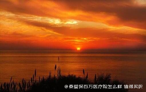 泰爱保百万医疗险怎么样 值得买吗 