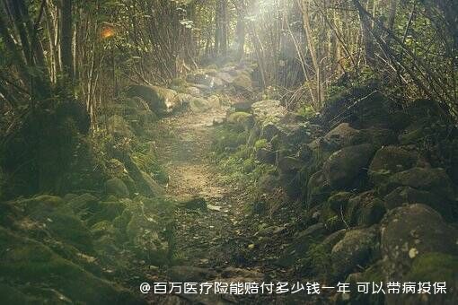 百万医疗险能赔付多少钱一年 可以带病投保吗 