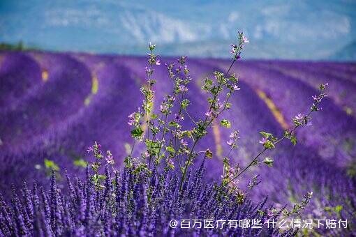 百万医疗有哪些 什么情况下赔付 