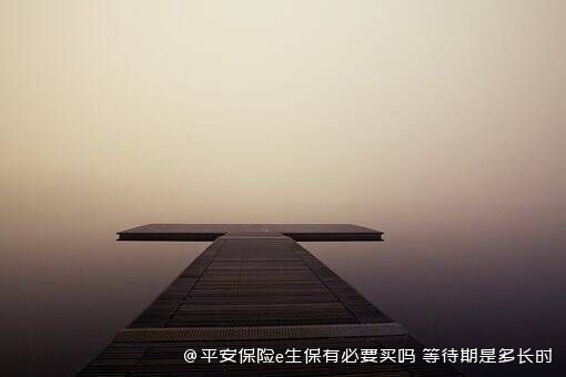平安保险e生保有必要买吗 等待期是多长时间 