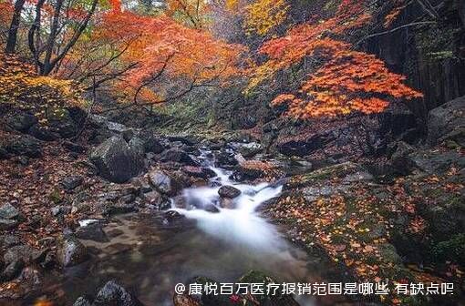 康悦百万医疗报销范围是哪些 有缺点吗 