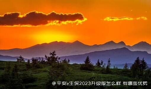 平安e生保2023升级版怎么样 有哪些优势 