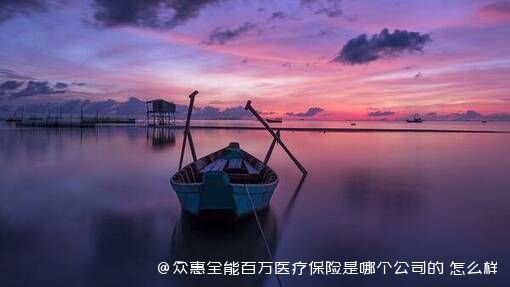 众惠全能百万医疗保险是哪个公司的 怎么样 