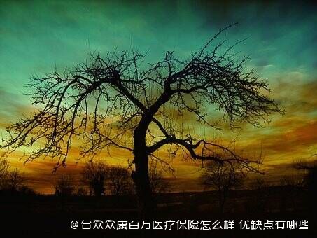 合众众康百万医疗保险怎么样 优缺点有哪些 