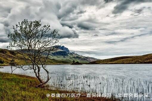 泰康百万医疗一直保终身吗 一年要交多少保费 