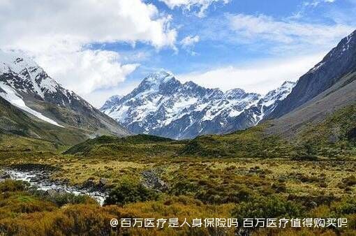 百万医疗是人身保险吗 百万医疗值得购买吗 