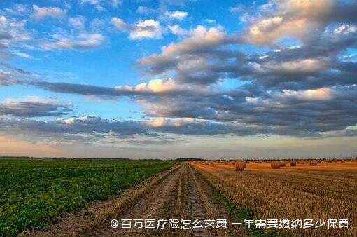 百万医疗险怎么交费 一年需要缴纳多少保费 