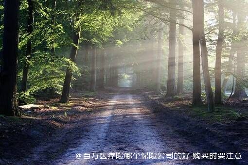 百万医疗险哪个保险公司的好 购买时要注意什么 