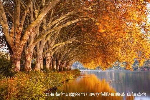 有垫付功能的百万医疗保险有哪些 申请垫付需要什么条件