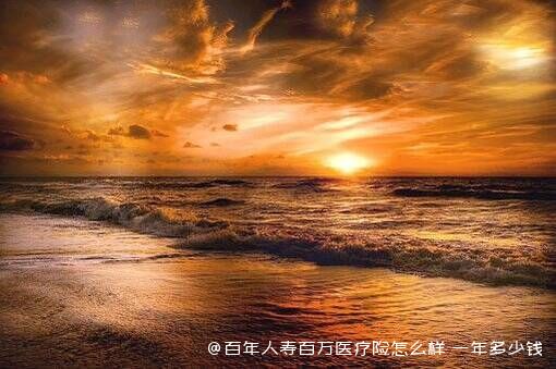 百年人寿百万医疗险怎么样 一年多少钱 
