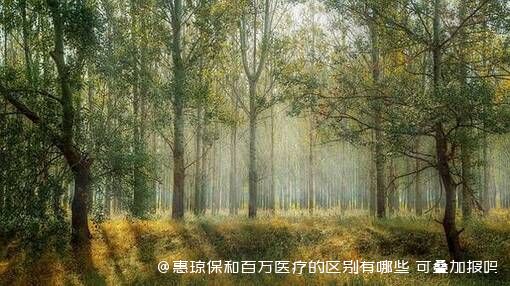惠琼保和百万医疗的区别有哪些 可叠加报吗 