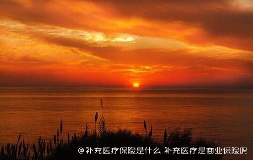 补充医疗保险是什么 补充医疗是商业保险吗 