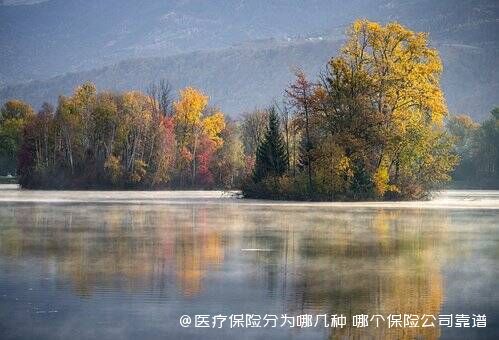 医疗保险分为哪几种 哪个保险公司靠谱 