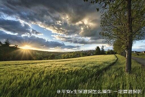 平安e生保退保怎么操作 一定要退保吗 