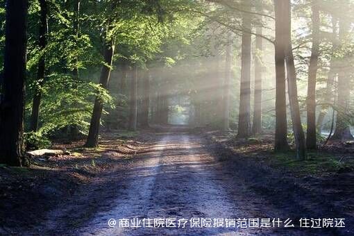 商业住院医疗保险报销范围是什么 住过院还能购买吗 