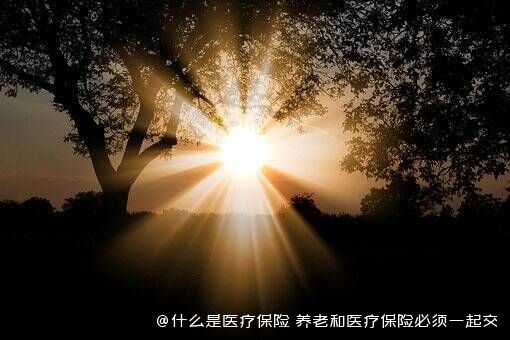 什么是医疗保险 养老和医疗保险必须一起交吗 