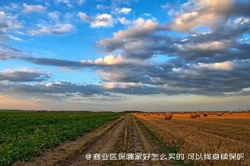 商业医保哪家好怎么买的 可以终身续保吗 