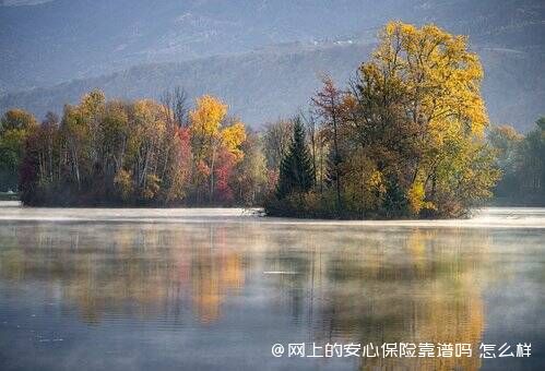 网上的安心保险靠谱吗 怎么样 