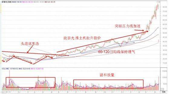 炒股是怎么炒的？股票该如何炒？