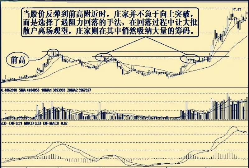 什么是庄家？带你了解庄家的坐庄步骤